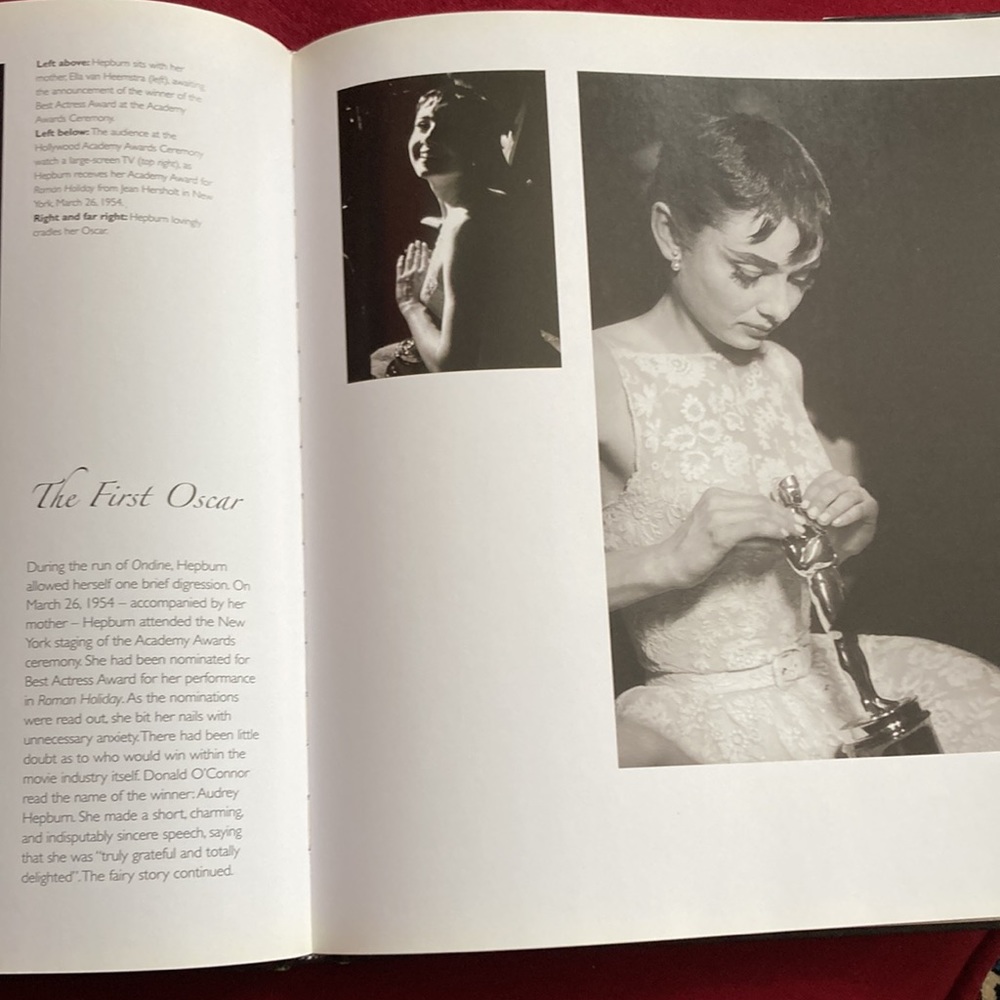 Audrey Hepburn by Nick Yapp - Picture 10 of 16